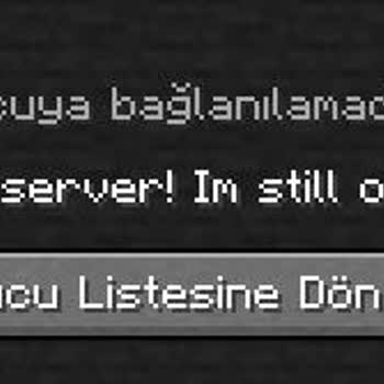 Rabisu Web Hosting Minecraft Sunucusu Kurulum Sorunları Ve Destek Eksikliği