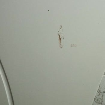 Temizlik Hizmeti Mağduriyeti