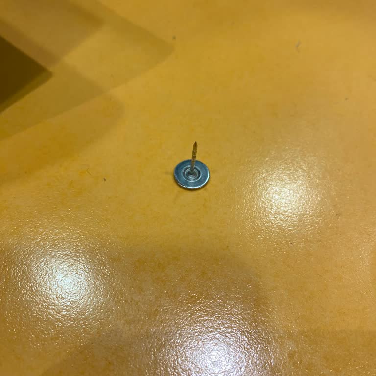 Ayakkabı İçinden Çıkan Tehlikeli Raptiye