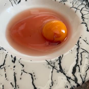 Snowy Market Ulutat Yumurtada Kalite Sorunu