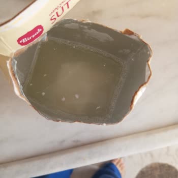 Son Kullanma Tarihi Geçmemiş Süt Peynirleşmiş