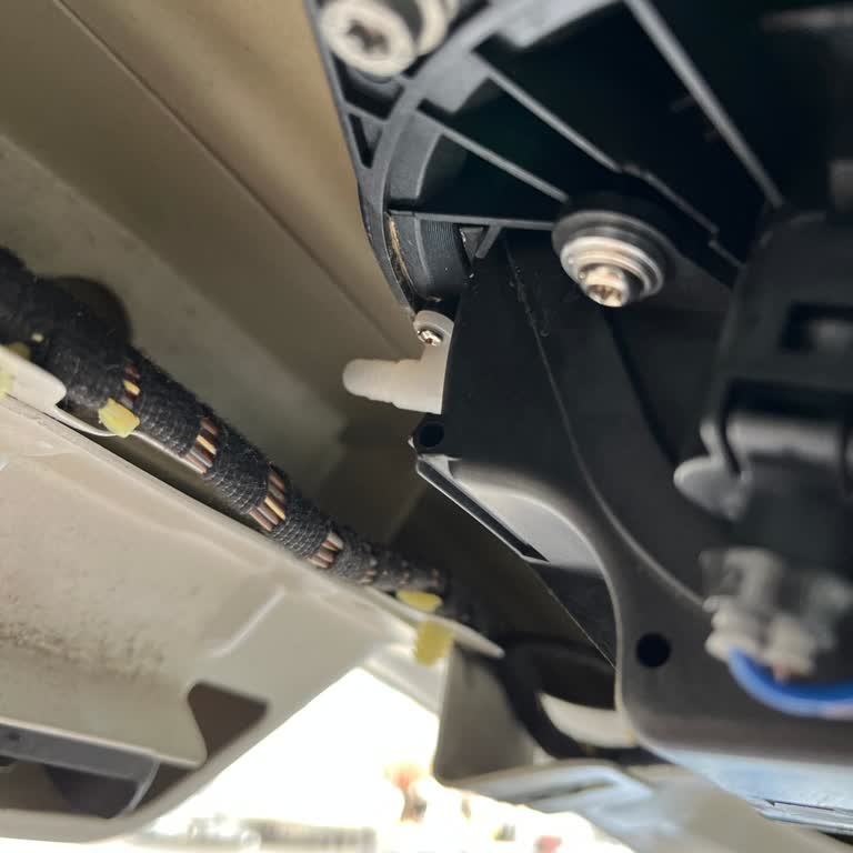 Carvocal'ın İlgisizliği Ve Unutulan Su Tahliye Borusu