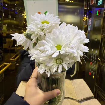 Çiçek Sepeti: Solmuş Çiçekler Ve İletişim Sorunları