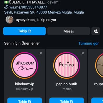 Ürünüm Gelmedi, Şikayetim CİMER'de