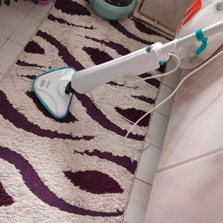 Kiwi Home Buharlı Mop Buhar Çıkarmıyor, Ne Yapmalıyım?