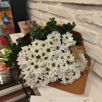 İlgisizlik Ve Düzensizlikle Hayal Kırıklığı