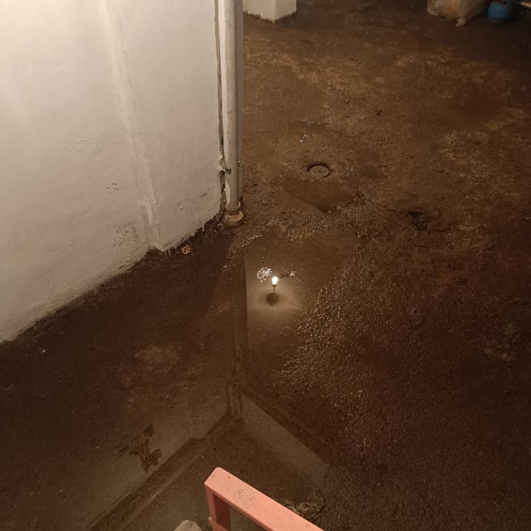 Bodrum Katını Su Basması Ve Altyapı Sorunu