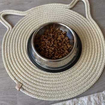 Kedilerim Zehirlendi: Trendyol'dan Aldığım Mama Felaketi