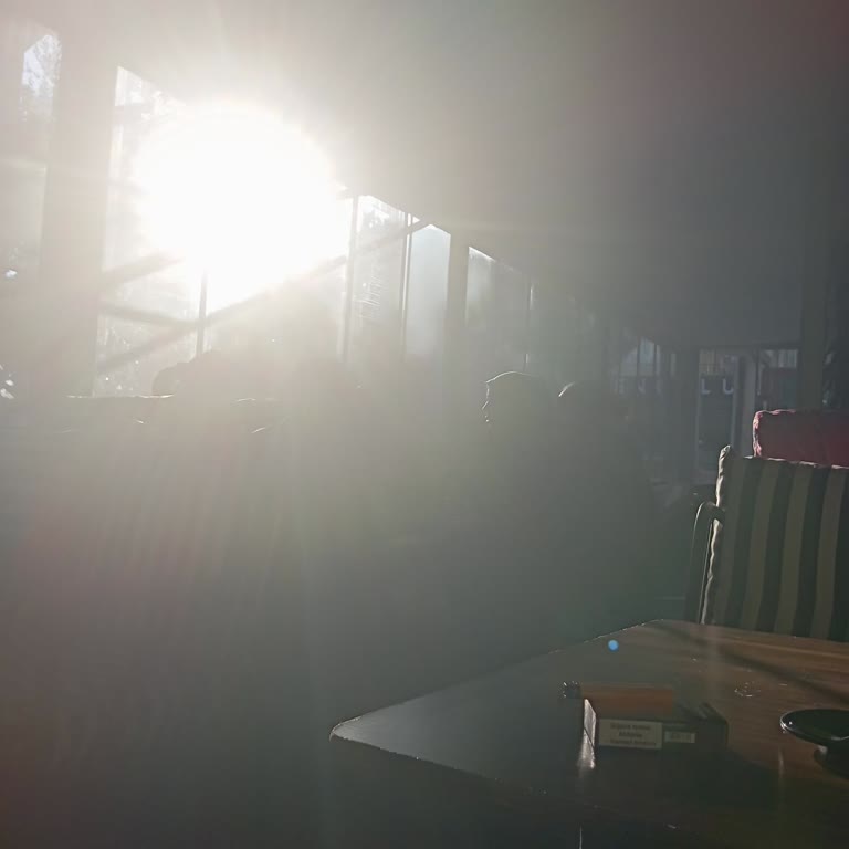 Pastanede Yaşanan Gürültü ve İlgisizlik Sorunları