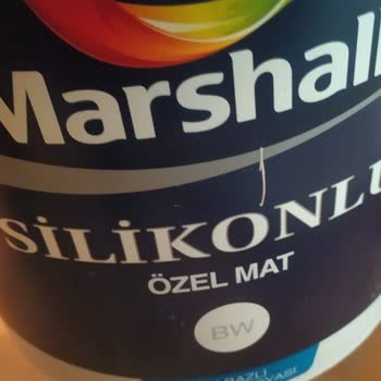 Marshall Boya Bozuk Boya Kabusu: Duvarlar Akıyor!