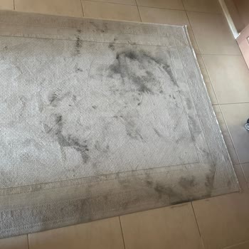Derin Dondurucu Kurulumu Sonrası Halı Lekeleri