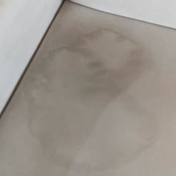 Evyaşam Olivya Oscar Oturma Grubundan Şikayetçiyim