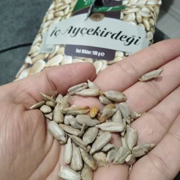 Tehlikeli Ürün Ve Duyarsızlık