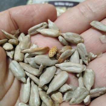 Tehlikeli Ürün Ve Duyarsızlık