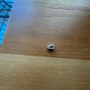 Sucukta Tehlikeli Yabancı Madde Bulundu