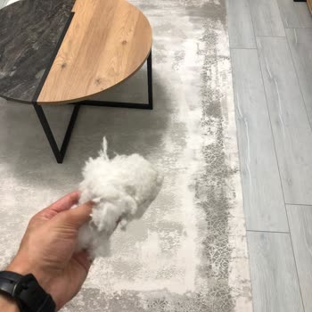 Nilay Mobilya (Tekirdağ) Aldığımız Halılar Tüy Sorunu Çözülemiyor!