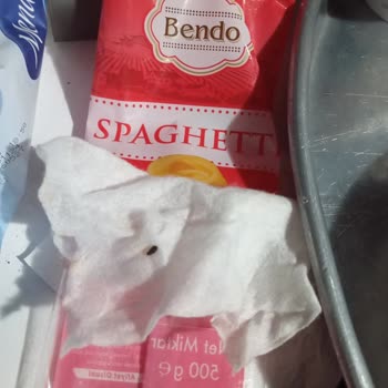 Ketçapta Fare Dışkısı Şoku!