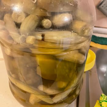 Nefisso Kuruyemiş Karışık Turşu Aldık Bozulmuş