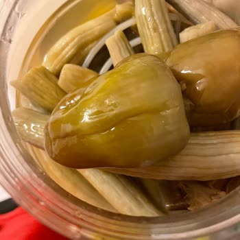 Nefisso Kuruyemiş Karışık Turşu Aldık Bozulmuş