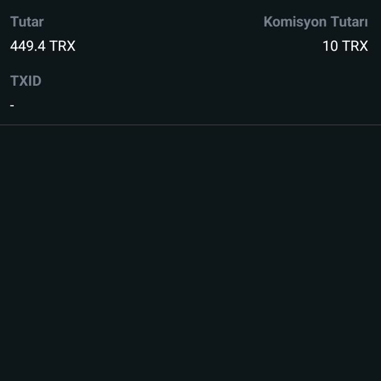 Bitci Borsası'nda Uzayan İşlem Süreleri