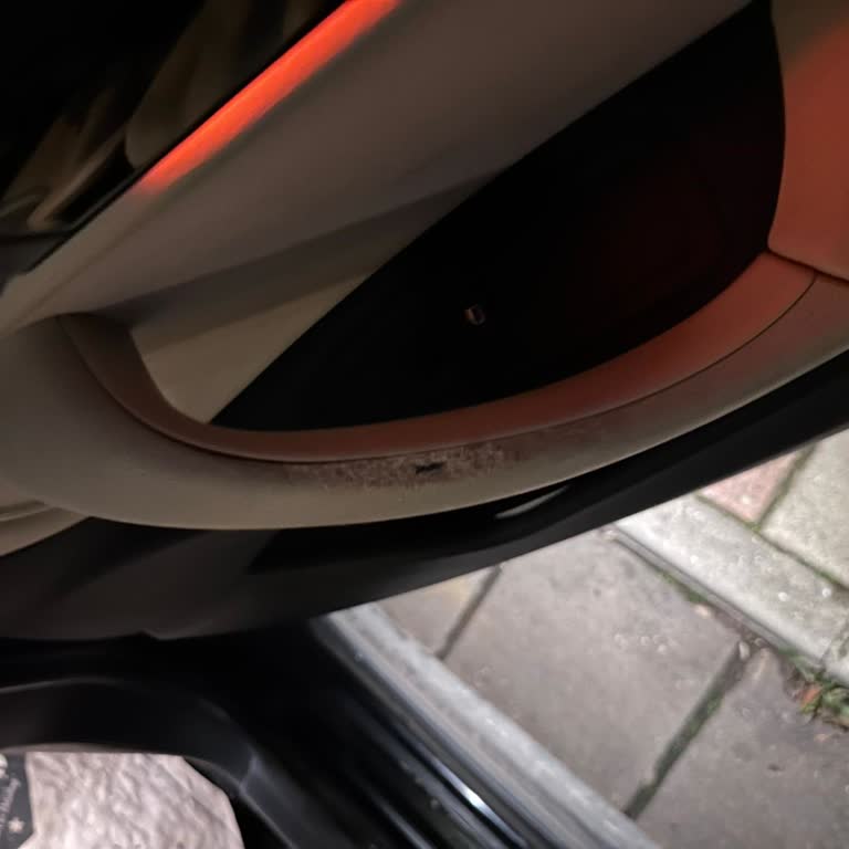 BMW X1 İç Kapı Kollarının Kalite Sorunu