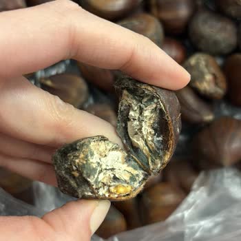 Migros Küflü Kestaneler Ve Geciken İade Süreci!