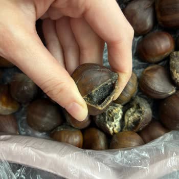 Migros Küflü Kestaneler Ve Geciken İade Süreci!