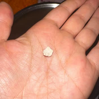 Yayla Patlatmalık Mısırda Taş Sürprizi