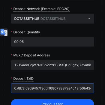 Dot Coin Transferi: Mexc Borsasında Kaybolan İşlem