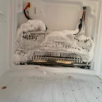 Samsung Buzdolabı Mağduriyeti: Üretim Hatası Ve Müşteri Hizmetleri İlgisizliği