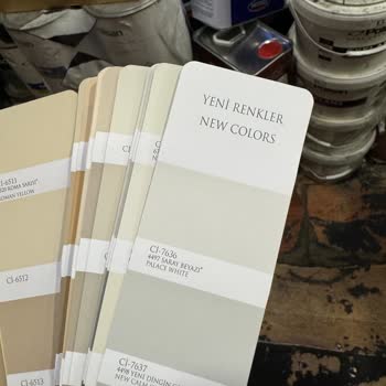 Renk Kataloğu Hayal Kırıklığı