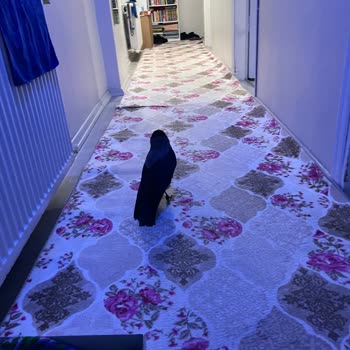 Yaralı Kargaya Yardım Çağrısı Cevapsız Kaldı