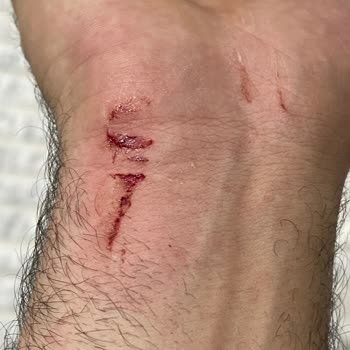 Musallat Korku Evi'nde Güvenlik Sorunu Ve Müşteri Memnuniyetsizliği!