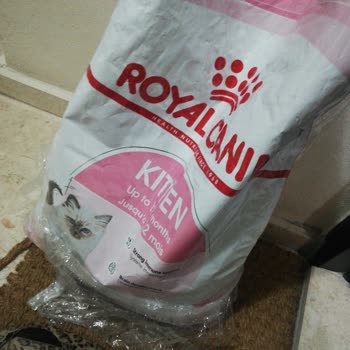 Sahte Yavru Kedi Maması Ve Veteriner Masrafları