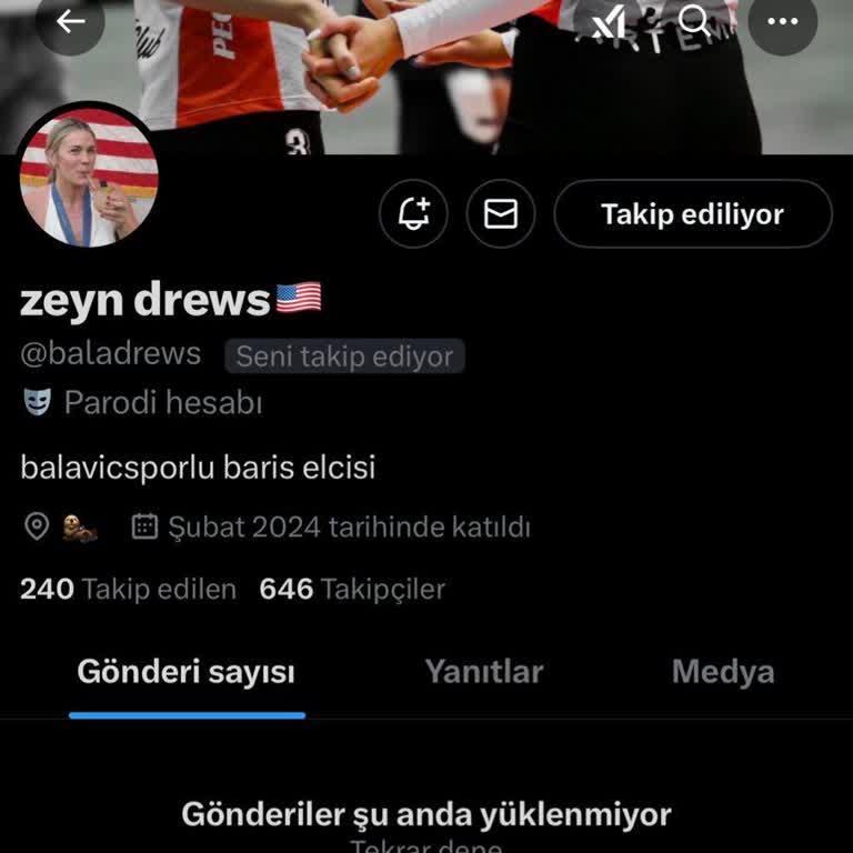 Twitter Profil Görüntüleme Sorunu