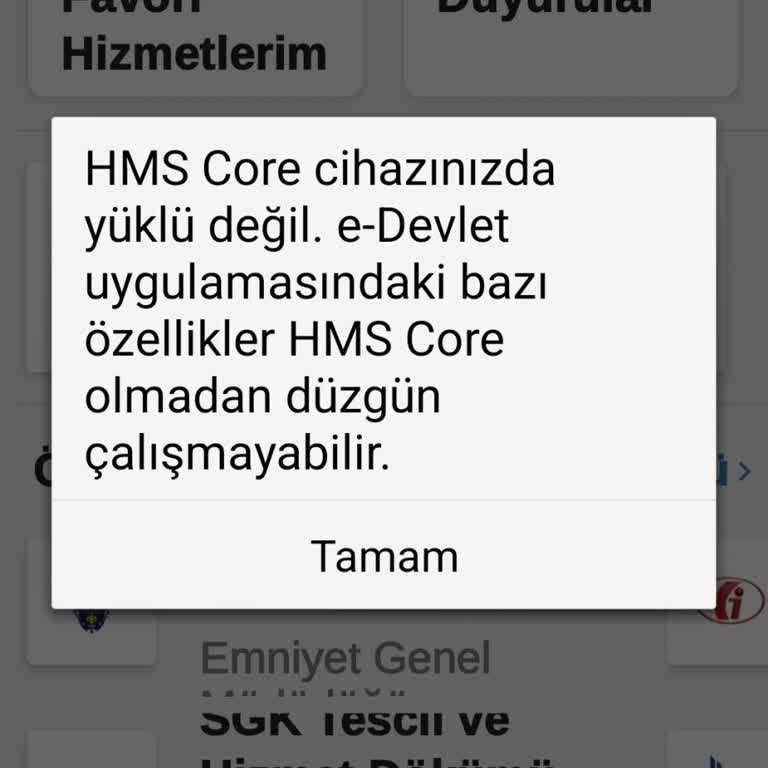 Samsung Telefonda E-devlet Uygulama Hatası Ve Çözüm Arayışı