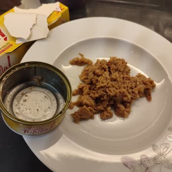 Bozuk Ton Balığı: Sağlık Tehlikesi Ve Kötü Koku