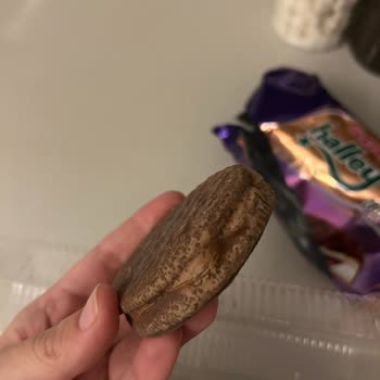 Bozuk Ülker Halley Ürünü: Sağlığımız Tehlikede!