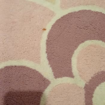 Cici Halı Yıkama | Eskişehir Gönderilen Ürün Lekeli Ve Müşteri Memnuniyetsizliği