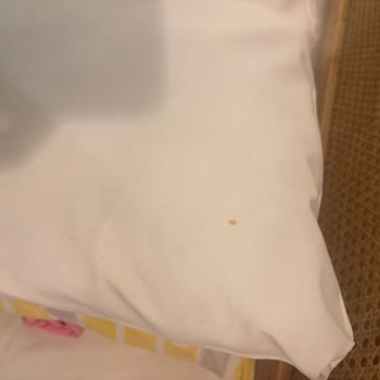 The Kaia Sapanca Bungalow Hijyen Ve Eksik Malzeme Sorunları!