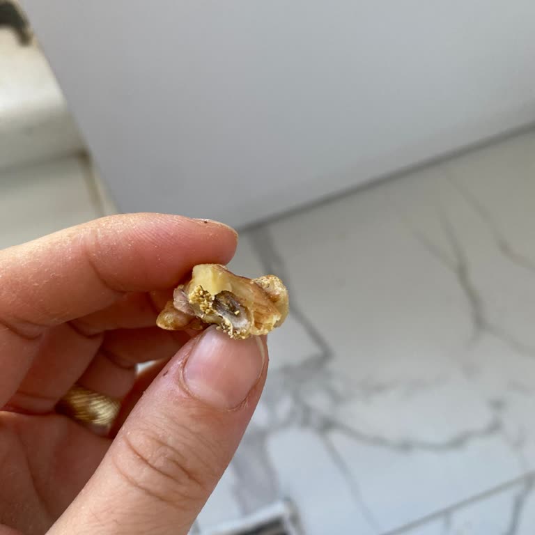 Migros'tan Aldığım Cevizden Kurt Çıktı