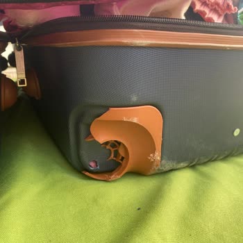 Ajet Firmasıyla Uçuşta Valiz Mağduriyeti