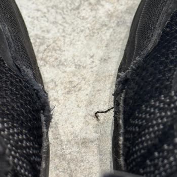 Skechers Ayakkabılarının Kalitesizliği Ve Müşteri Hizmetleri Sorunu