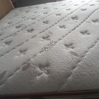 Çöken Yatak Ve İlgisiz Servis