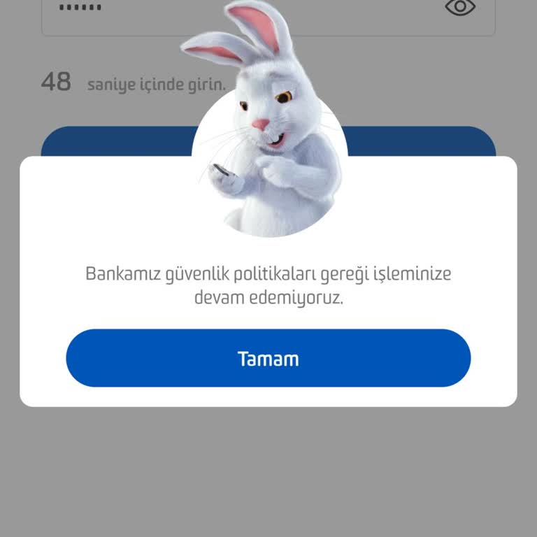 Fibabanka'da Sürekli Hata: Çözüm Bekliyorum