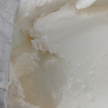 Torku Labne Peynirde Küf Ve Kötü Koku Şoku