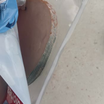 Bozuk Salam Ve Sağlık Tehlikesi: Migros Ve Polonez Güven Sarsıyor