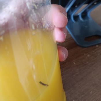 Portakal Suyunda Kurt Şoku: Çocuğumun Sağlığı Tehlikede!