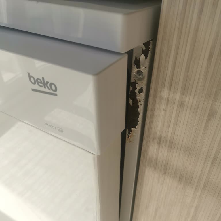 Beko Bulaşık Makinesi Küflenme Sorunu