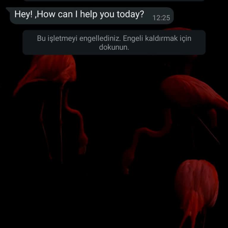 WhatsApp'ta Yabancı Numaralardan Gelen Mesajlar Korkutuyor